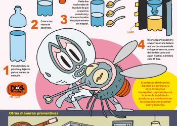 ¿Cómo librarte de los zancudos?