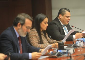 Analista dice que ONG son una historia amarga