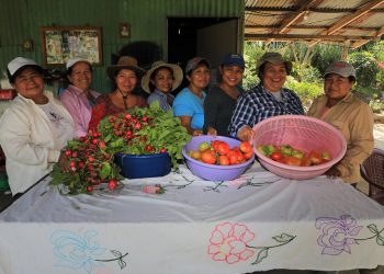 Madres de la tierra que cosechan vida y esperanza