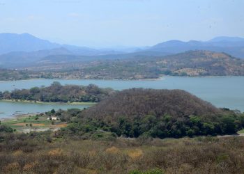 Conoce y realiza turismo en un bosque seco tropical