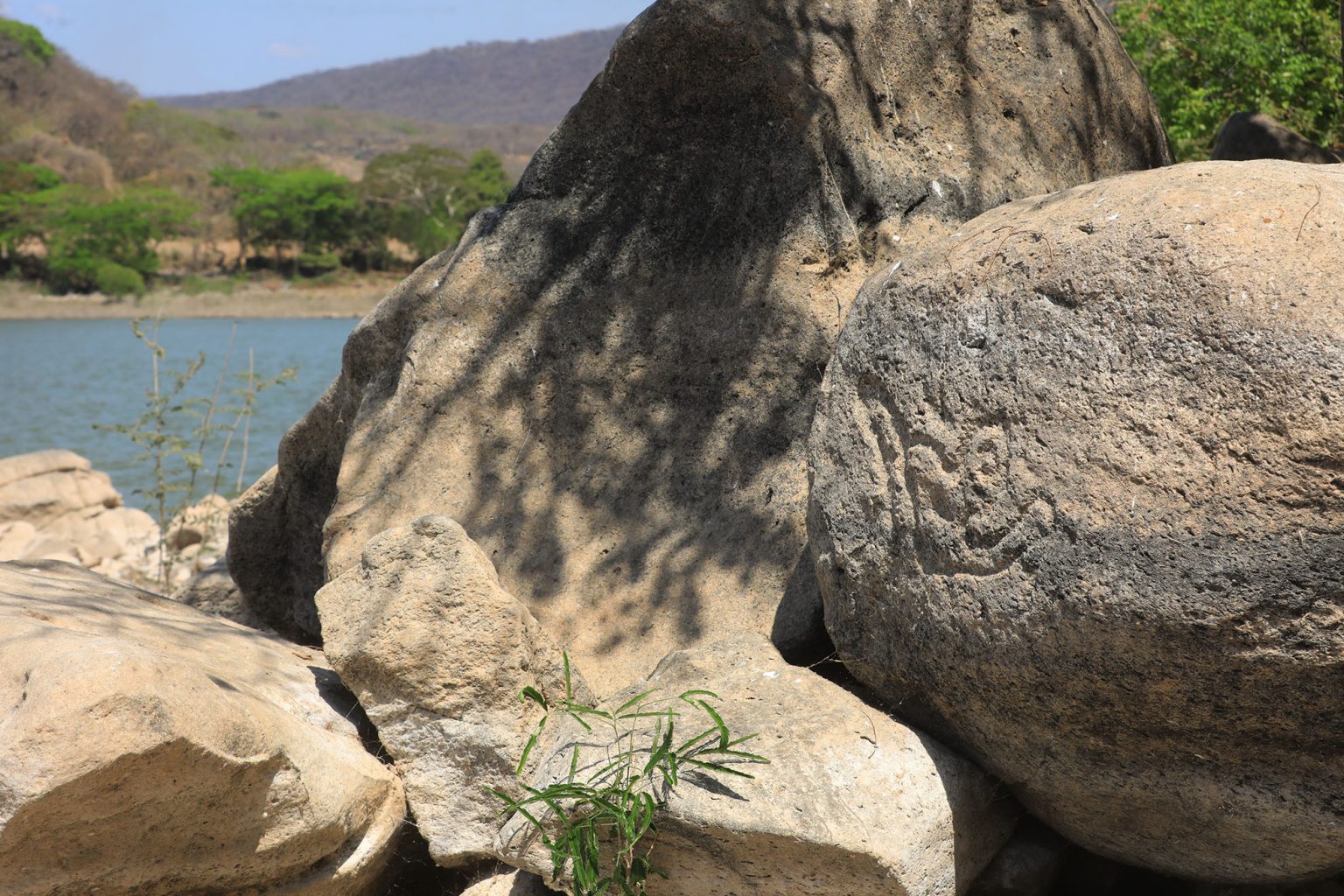 Metapán, Santa Ana, San Diego Las Barras. Diario El Salvador