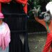 «La Abuelita y el Lobo Feroz»: Adaptación del cuento de Caperucita Roja al teatro