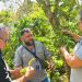 El Ministerio de Agricultura verifica los cultivos de café en Santiago de María, Usulután