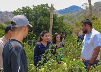 Capacitan a jóvenes en nuevas técnicas de cultivos en San Miguel