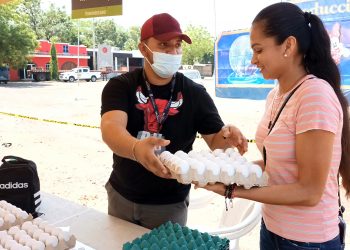 Consumidores podrán conocer procedencia de los huevos que compran