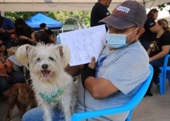 Nuevo Cuscatlán controlará la población de perro y gatos por medio de vacunación y esterilización