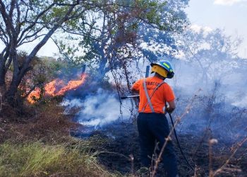 Gobernación reporta disminución de hectáreas quemadas por incendios forestales y en maleza seca en este 2023