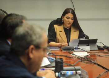 Comisión especial oenegés determina que Fiscalía debe indagar transferencia de fondos públicos