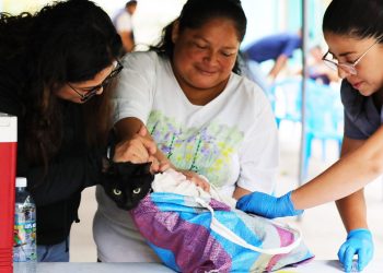 Bienestar Animal proyecta creación de censo de animales de compañía