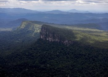 Deforestación en Amazonía brasileña cierra uno de los peores primeros trimestres