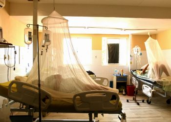El cambio climático favorece casos de dengue y chikungunya, alerta la OMS