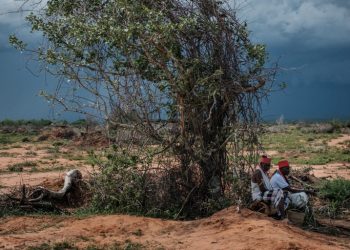 Sube a 73 el número de cuerpos de presuntos miembros de secta en Kenia