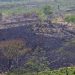 En la selva maya, científicos rastrean virus que podrían desatar nuevas pandemias