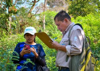 Llevan a cabo un censo de cítricos en San Pedro Nonualco, La Paz