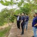Gobierno proyecta reforestar más de 1,000 hectáreas con bambú