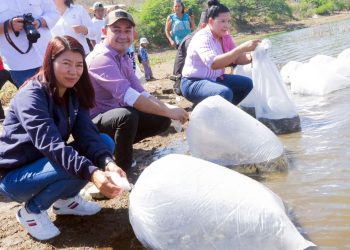 Siembran 25,000 alevines de tilapia en la laguna de Metapán