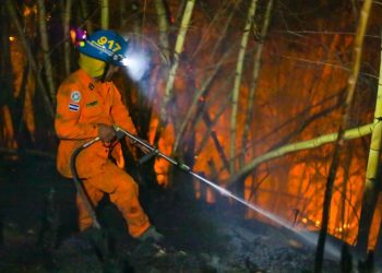 Bomberos destacan una reducción de más del 50 % de hectáreas de terreno quemadas y en maleza