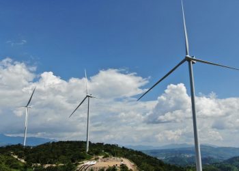Energías eólica y solar generaron 12 % de la electricidad mundial en 2022