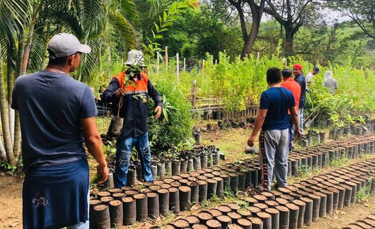 Foto/ Diario El Salvador