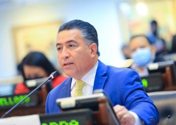 ARENA se dividió al votar para quitar aranceles a las carnes