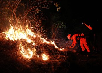 Incendio ha dejado daños en cerca de 400 hectáreas en San Miguel