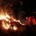 Incendio ha dejado daños en cerca de 400 hectáreas en San Miguel