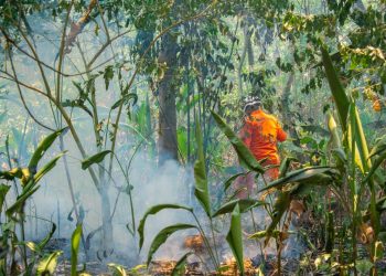 Autoridades trabajan para extinguir incendio en Volcán de San Salvador