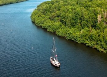 Bahía de Jiquilisco, el manglar más grande de El Salvador