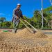 TLC con China impulsará al sector cafetalero del país, según Acafesal