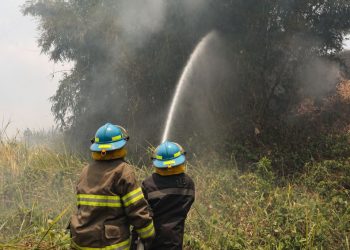 Cuerpos de Socorro sofocan incendio frente al parque El Principito, La Libertad