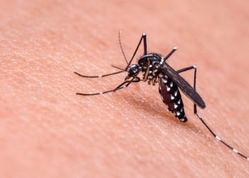 Costa Rica detecta brote de malaria en la región del Caribe