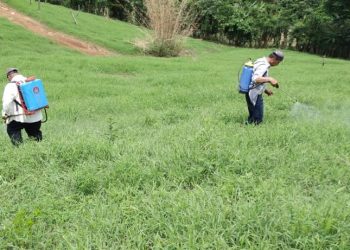 Empresa estadounidense invierte $1.5 millones a proyecto de agroturismo