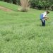 Empresa estadounidense invierte $1.5 millones a proyecto de agroturismo