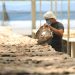 Pescado seco de Chirilagua se sirve en la mesa de familias estadounidenses