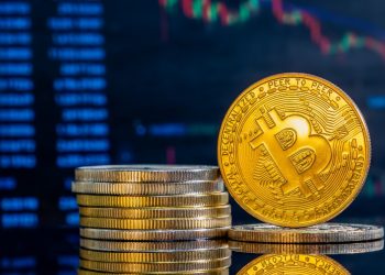 Bitcoin Magazine: Plantean que El Salvador otorgue ciudadanías a inversionistas extranjeros de bitcoin