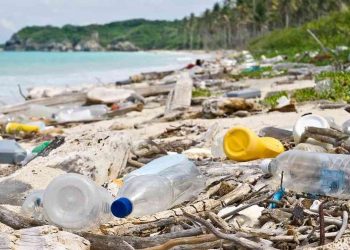 Costa Rica prohíbe bolsas y pajillas plásticas y limita las botellas