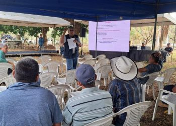MAG comienza programa de nutrición para bovinos en San Francisco Menéndez