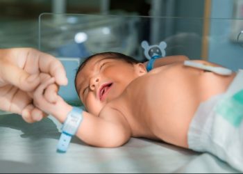 La justicia prohíbe a progenitor de cientos de niños donar esperma en Países Bajos