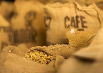 Café salvadoreño brilla en festival internacional en megaciudad china de Chongqing