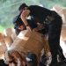 Productos pirotécnicos decomisados en cohetería clandestina de Santa Ana superan 1 millón de dólares