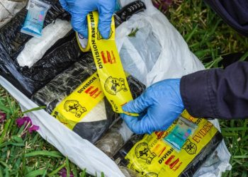 El Salvador ha desbaratado varias estructuras regionales de tráfico de cocaína