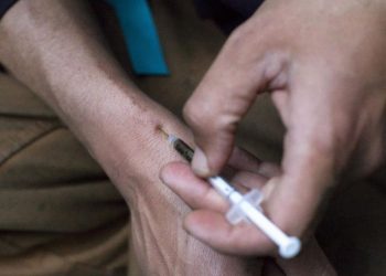EE. UU. declara la xilazina o droga zombi «amenaza» para la nación