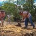 Preparan abono bokashi previo a la siembra