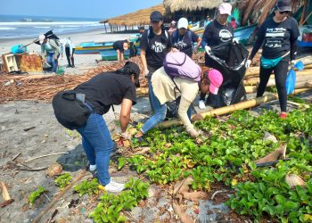 Desarrollan jornada de limpieza en playa La Zunganera, La Paz
