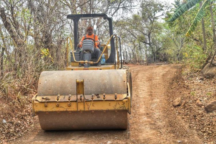 Foto/ Diario El Salvador