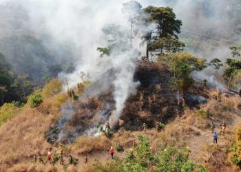 Medio Ambiente ha atendido 46 incendios forestales durante la época seca