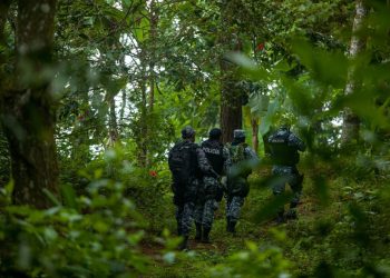 Gobierno continúa lucha firme contra grupos terroristas