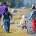 El paludismo se ensaña con migrantes e indígenas en América, afirma la OPS