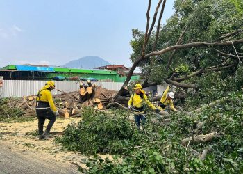 MOP y FOVIAL atienden emergencias causadas por lluvias en diferentes carreteras del país
