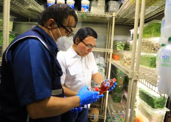 Defensoría del Consumidor verifica cumplimiento de derechos en centros comerciales
